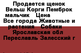 Продается щенок Вельш Корги Пемброк мальчик › Цена ­ 65 000 - Все города Животные и растения » Собаки   . Ярославская обл.,Переславль-Залесский г.
